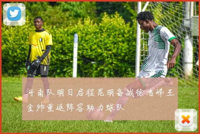河南队明日启程昆明备战徐浩峰王金帅重返阵容助力球队