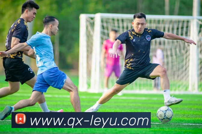 乐鱼体育发展历程