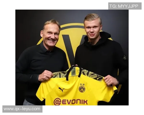 多特蒙德花3050万欧购小贝林新赛季表现令人失望仅281分钟无进球 多特蒙德花3050万欧购小贝林新赛季表现令人失望仅281分钟无进球