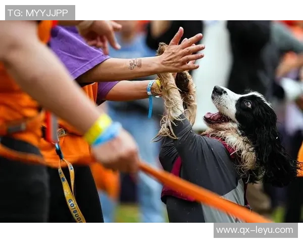马克西携爱犬挑战敏捷赛道现场观众热情高涨达15000人